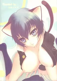 [Yukinohana (Sakurasawa Yukino)] nyaoto (Persona 4)