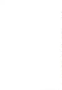 (C80) [Himeya (Abe Inori)] Saitei Rakusatsu Kakaku 2 (Seiken Densetsu 3)