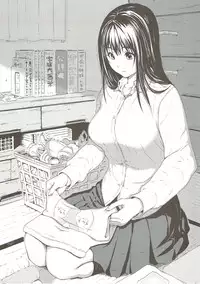 (C89) [Amazake Hatosyo-ten (Yoshu Ohepe)] seventeen vol. 11 (Ane Doki)