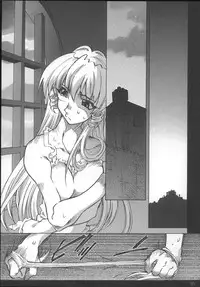 [OPEN BOOK (Toumi Haruka)] Night Spark Down (Scrapped Princess)