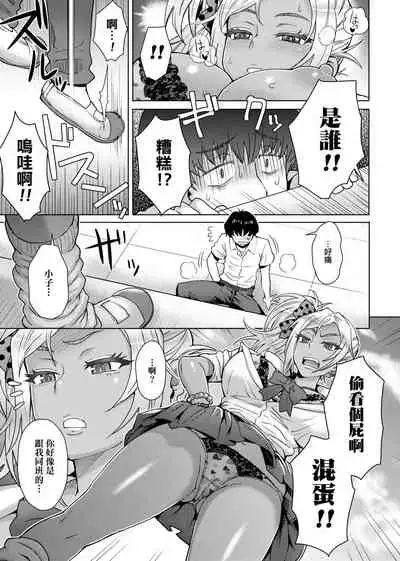 Retsujou Mixture - Animal Passion Mixture | 劣情色欲混合體