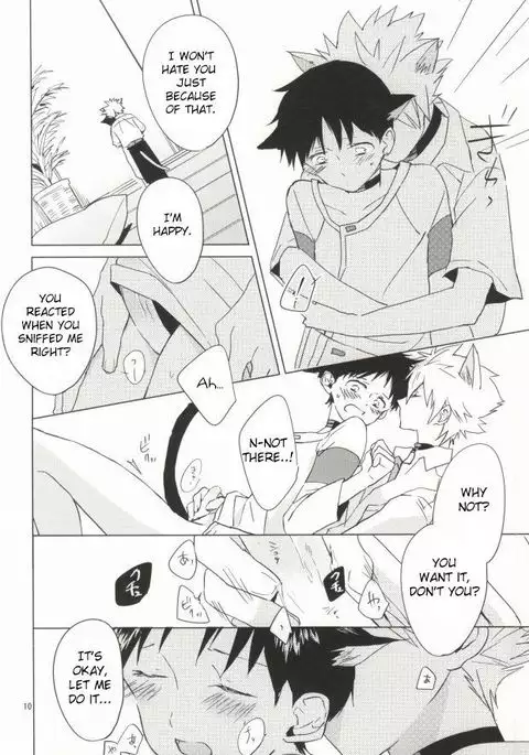 Shin-chan ga Hatsujouki ni Narimashita. )