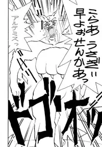 (C48) [Pikopiko Rando (Fuji Katsupiko)] Pikopiko Rando EX