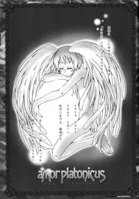 (HaruCC14) [Luciferhood (Toudou Fumika, Horo Makoto)] amor platonicus (Gundam 00)