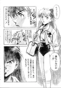 [doujinshi anthology] [Kawarajima Kou] The Henreikai (Sailor Moon, Evangelion)