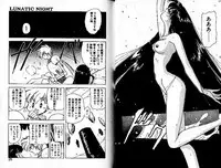 [Mii Akira] Lunatic Night 3