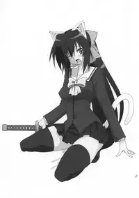 (SC46) [F.A (Honoutsukai)] Osawari Himari (Omamori Himari)