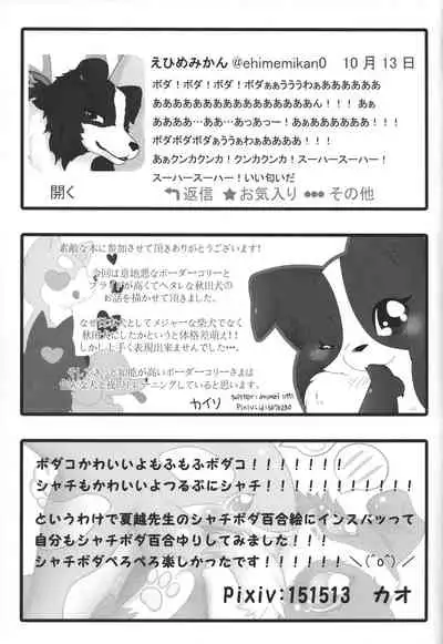 (Kansai! Kemoket 3) [PPOINO! (Various)] Boda kon