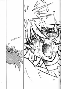 (C53) [Bible (Ogata Satomi)] Kyouakuteki Shidou Daiichijou Daihachikou (Cutey Honey)