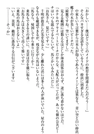 年上メイドの新婚日記
