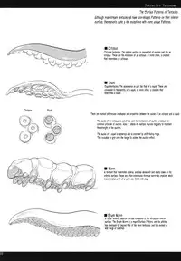 (COMITIA95) [SHIS (Z-ton)] LIMB LEGION [English] [c7n88]