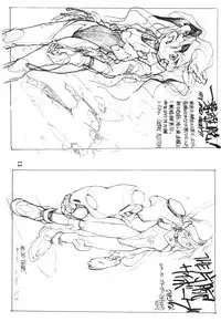 (C50) [PEACE MAKER (E=MC2)] JUNKY'S JUNKS (Various)