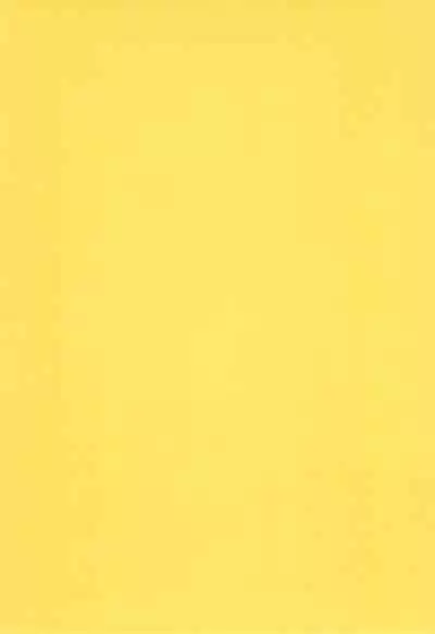 Fun House 11th SNAP SHOT