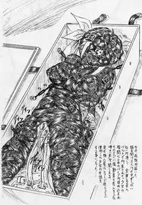 [Sumomo Dou (Sumomo EX)] Vivian Bessatsu Soushuuhen 02 Dizzy -Niku no Jabukuro-