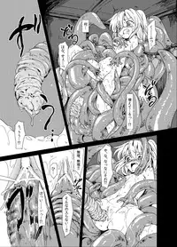 (Kouroumu 9) [Satei (s73d)] Shoku Fla (Touhou Project)