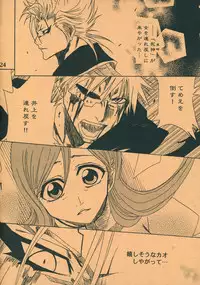 (SUPER17) [Funny Devil (Okada Reimi)] Shinjitsu no Kakera (Bleach)