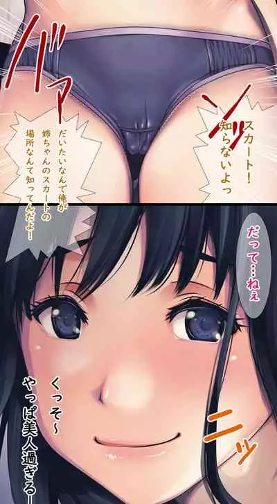 Komarigao na Bijin no Ane o Osotte Yaritai Houdai Yatta Hanashi