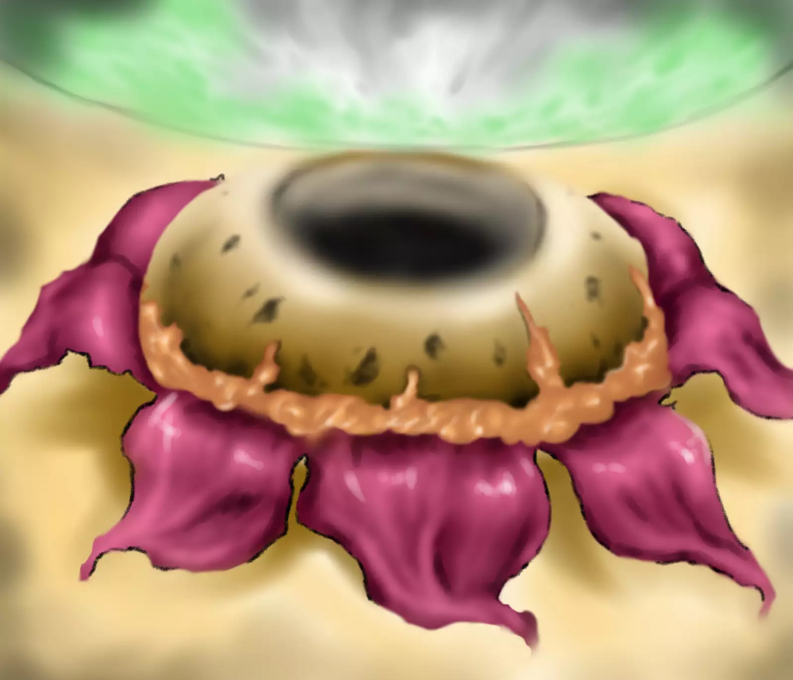 Saint · Woman Tao FILE 1 "Huge flower blooming in the mountains"