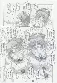 (SC26) [Schwester (Shirau Inasaki)] Rollin 14 (Touhou Project)