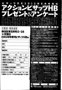 Action Pizazz HB 2013-06