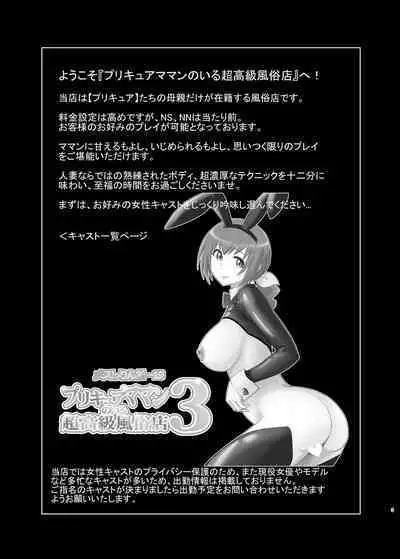 Mess Zylinder 19 PreCure Maman no Iru Chou Koukyuu Fuzokuten 3