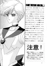 [Bousou!! Fuhatsudan (Takai Biki)] Bishoujo S Ichi (Bishoujo Senshi Sailor Moon)