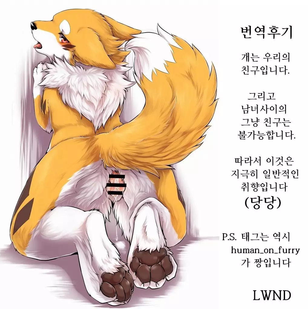 Kitsuneinu to Asobo!! | 여우개 랑 놀자앗!!