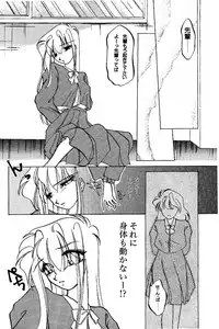 High School Hakusho (Sailor Moon anthology)