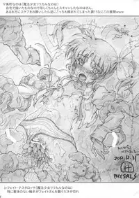 (C87) [PHYSALIS (Seresu)] Roughbon 2 (Mahou Shoujo Lyrical Nanoha)