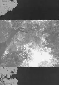 (SC33) [Dragon Kitchen (Sasorigatame, Kanibasami)] Genkai Shojo (Seiken Densetsu 3)