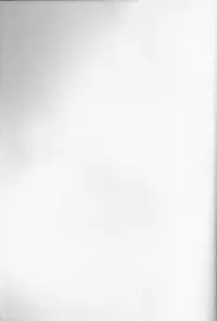 (C91) [AIRMUSICA (Jimo)] honey bunny (B-PROJECT)