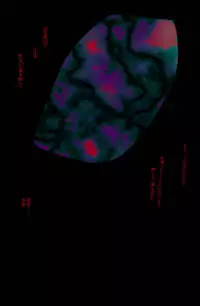 [Kame no Onaka] Bishoujo Kaiin Hentaika Choukyou ~Odei Rinraku Biran no Etsu~