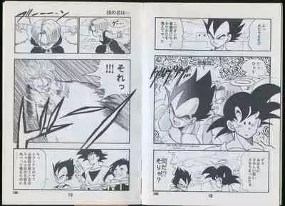 Saiyan Monthly n°25, August 1993, 2nd anniversary