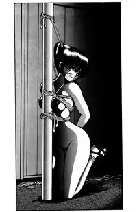 (C40) [STUDIO SHARAKU (Sharaku Seiya)] SHARAKU SPECIAL (Various)