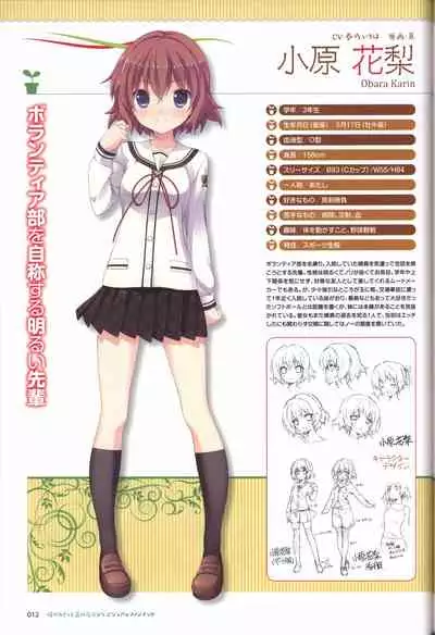 Hare Nochi Kitto Nanohana Biyori Visual Fanbook