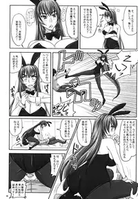 (A3) [Nozarashi (Nozarashi Satoru)] Misshitsu de Kyoubou Bunny Hime to Futarikiri.