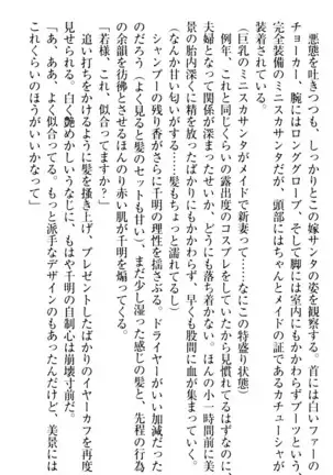 年上メイドの新婚日記