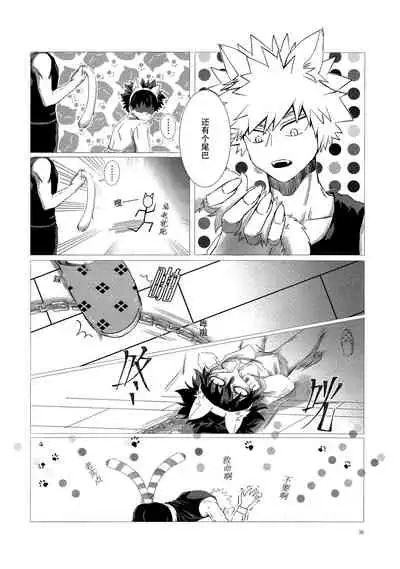 Shèngchū bào māo bǐjìběn