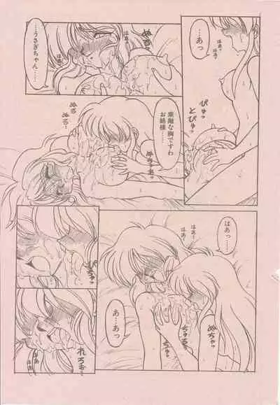 新造人間ストラグルバニー未収録分