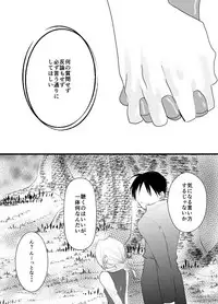 [Kyoka Suigetsu] Rh - no koi 3 (Fullmetal Alchemist)