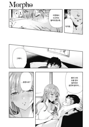 Morpho | 모르포