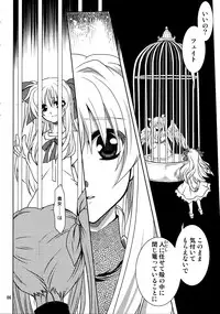 (C81) [PLUM (Kanna)] Magical SEED・Ideorogy (Mahou Shoujo Lyrical Nanoha)