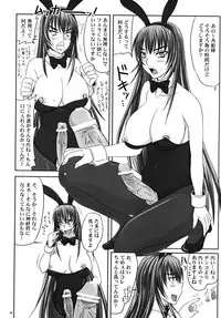 (A3) [Nozarashi (Nozarashi Satoru)] Misshitsu de Kyoubou Bunny Hime to Futarikiri.