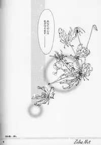 [L'acryma d'anjou] Kinshijaku ENIGMA Seikon (Yami no Matsuei)