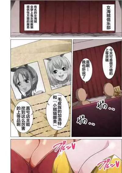 [Q Doujin] Bunny Service (One Piece) [Chinese] [紫苑汉化组]