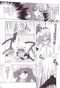 (C74) [Reverse Noise (Yamu)] Lunatic Library (Touhou Project)