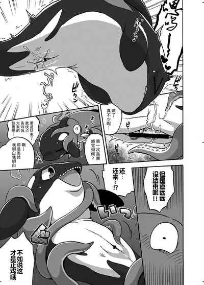 Shachi Ero wa Ikaga!? | 鲸身乌染！？