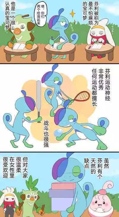 |宝可梦的故事（呜鸟木个人汉化组）