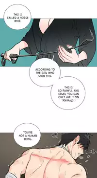 [The Jinshan] Sadistic Beauty Ch.1-28 (English) (Ongoing)