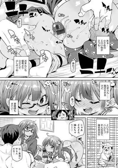 1 Pako 2 Pako 3 Pakori